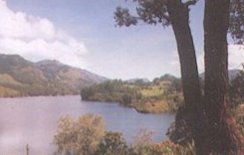 Thekkady Natural Scenery