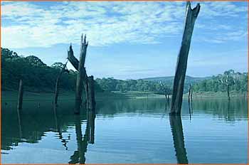 Periyar Wild Life Sanctuary