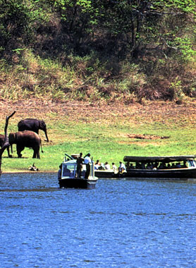 Periyar Wild Life Sanctuary