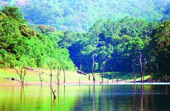 Periyar Wild Life Sanctuary